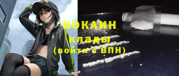индика Нягань