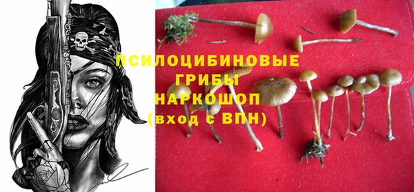 apvp Дубна